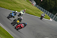anglesey;brands-hatch;cadwell-park;croft;donington-park;enduro-digital-images;event-digital-images;eventdigitalimages;mallory;no-limits;oulton-park;peter-wileman-photography;racing-digital-images;silverstone;snetterton;trackday-digital-images;trackday-photos;vmcc-banbury-run;welsh-2-day-enduro